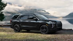 
										2024 HYUNDAI PALISADE full									